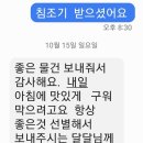 손질 침조기 이미지