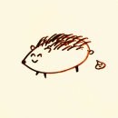 퇴 수 정 이미지