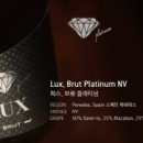 럭스premium