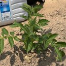 시민로393번길 이미지