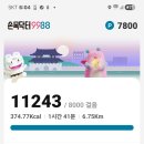 도곡역에서 양재시민의숲 까지 이미지