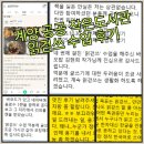 계양도서관 | &lt;365-&gt; -계양도서관 읽걷쓰 후기글 받고 주절주절