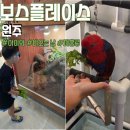 보스플레이스 | 원주 비 오는 날 아이와 가기 좋은 곳 보스 플레이스 주차 이용방법 먹이주기 체험 가능