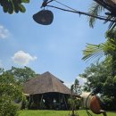 더사우나(The Sauna) 이미지