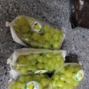 싱싱함을담은청과일 | 싱싱함을 담은 청과일에서 후기~~