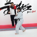 품 태권도 이미지