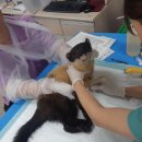 전북야생동물구조관리센터 이미지