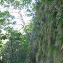 길운목장 | 죽렴지맥 마지막 제2구간 고성고개(고성치)에서 합수점인 문산교까지 산행후기