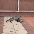 백호문학관 이미지