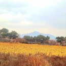 예수 태양광발전소 이미지