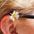 고막농장 이미지