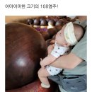 강촌세탁소 | 블로그 이웃 159, 초기 서로이웃 우송 댁 아이의 성장기(둘째 예비맘)