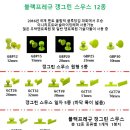 규그린 이미지