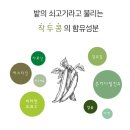 장평농원 이미지