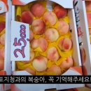 토지시장마트 이미지