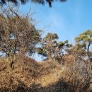 남산2리 마을회관 이미지