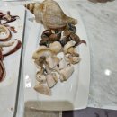 [도로]영통 열병합발전소 사거리 | 광주 수완지구 킹크랩 대게 랍스타 신상맛집 연말모임장소로 확실하게 2호점 수완점 다녀온 후기입니다.