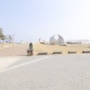 또바기회ㅇ수산 | 영덕 강구 동광어시장 방문후기 -대게맛집 대성수산 솔직 리뷰