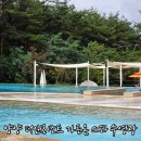 양양 더앤리조트 가든온 스파 수영장 내돈내산 솔직체험후기