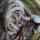 낙지힘낙지 이미지