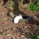 청초농장 이미지