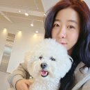 피터펫 카페 안산점 이미지