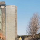 아라리오 이미지