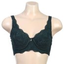 비너스와코루 이미지