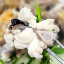 마산할매아구 | 마산여행 중 만난 진짜 아구찜 맛집. 오동동아구할매집 마산본점 솔직후기