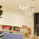 별빛약국 이미지