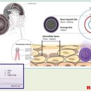 (주)루비셀 이미지