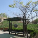 수원팔색길 매실길 이미지