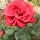 난정초등학교 이미지