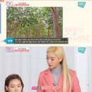 환절기 피부진정팩 / 아나운서 마스크팩으로 유명한 침향진정팩 닥터림스 아퀼라리아수딩팩