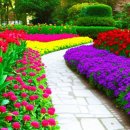 제주대학교 사라캠퍼스 이미지