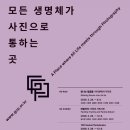사진공간엘