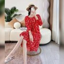 라베니 이미지