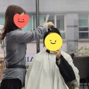 서초대로58길 35-5 | 서울 교대역 미용실 오즈 서초교대점, 선욱디자이너 숏컷 클리닉 후기