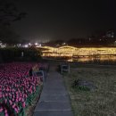 안성맞춤랜드야영장 이미지