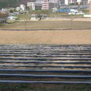 리라농장 이미지