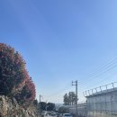 남원읍-53 이미지