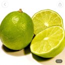 금오산게임 이미지