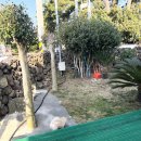 바테펜션 이미지