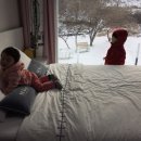 딱따구리펜션 이미지