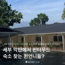 안타코리아 | 세부 막탄 5성급 플렌테이션베이 앤 리조트 [plantationbay&amp;resort] 정보 및 솔직후기
