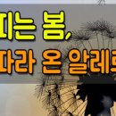 꽃피는봄날 이미지