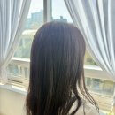 초코헤어 - 달서구 | 범계미용실 도하우스헤어살롱 범계점 초코브라운 5단계 염색 후기