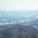 우봉목장 Daum카페