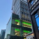 강남센트럴약국 | 11월 강남 올리브영 라운지 골드등급 방문후기 골드혜택 라운지 등급혜택