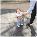 11개월 아기 첫 걸음마신발, 타이니스텝 신고 삑삑이 바른걸음 시작